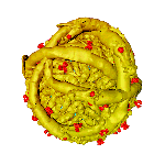 diezlogo_ez_transparent